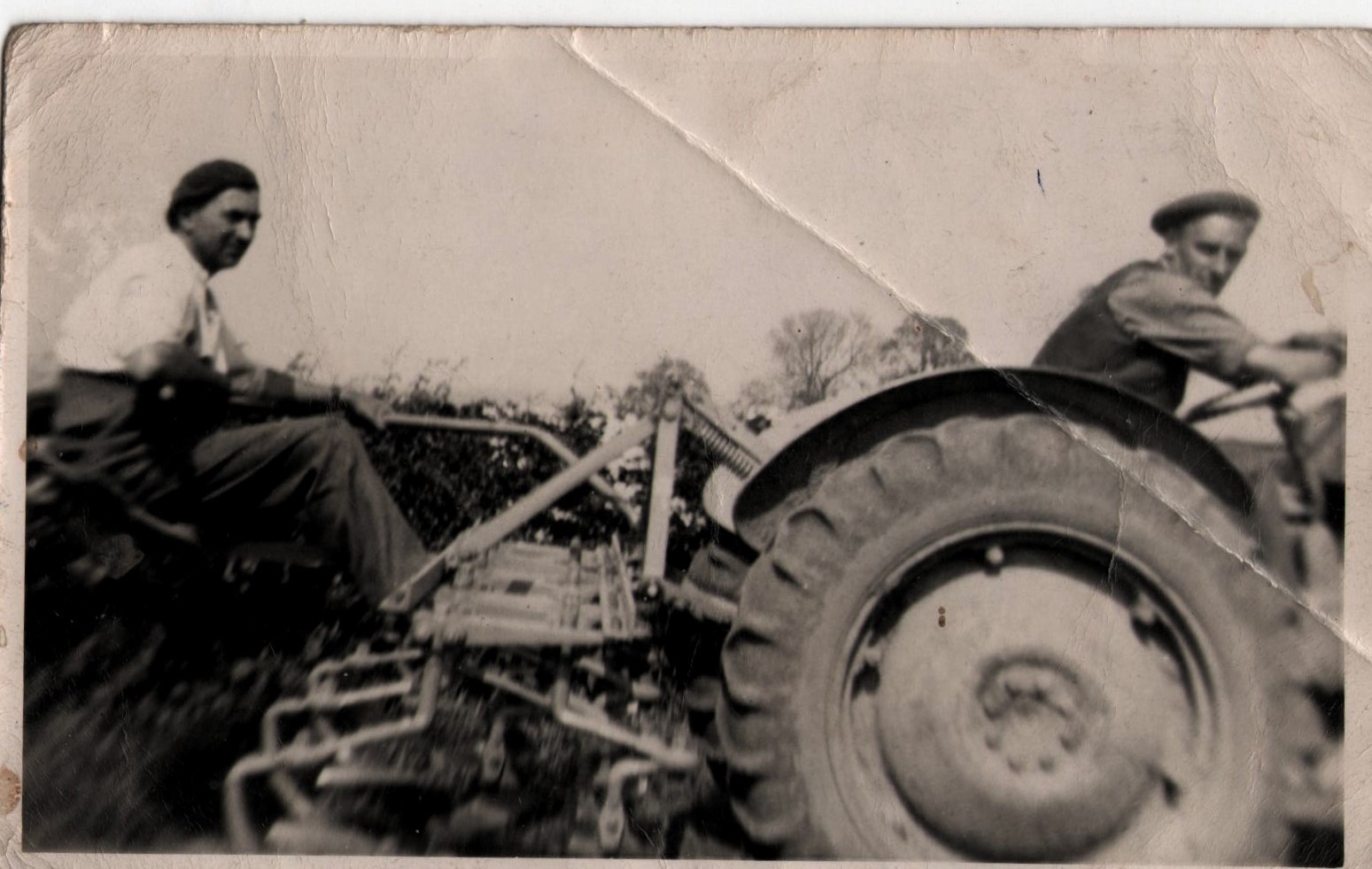 Clifford Bosomworth steering a cultivator on the back of a TEF Ferguson